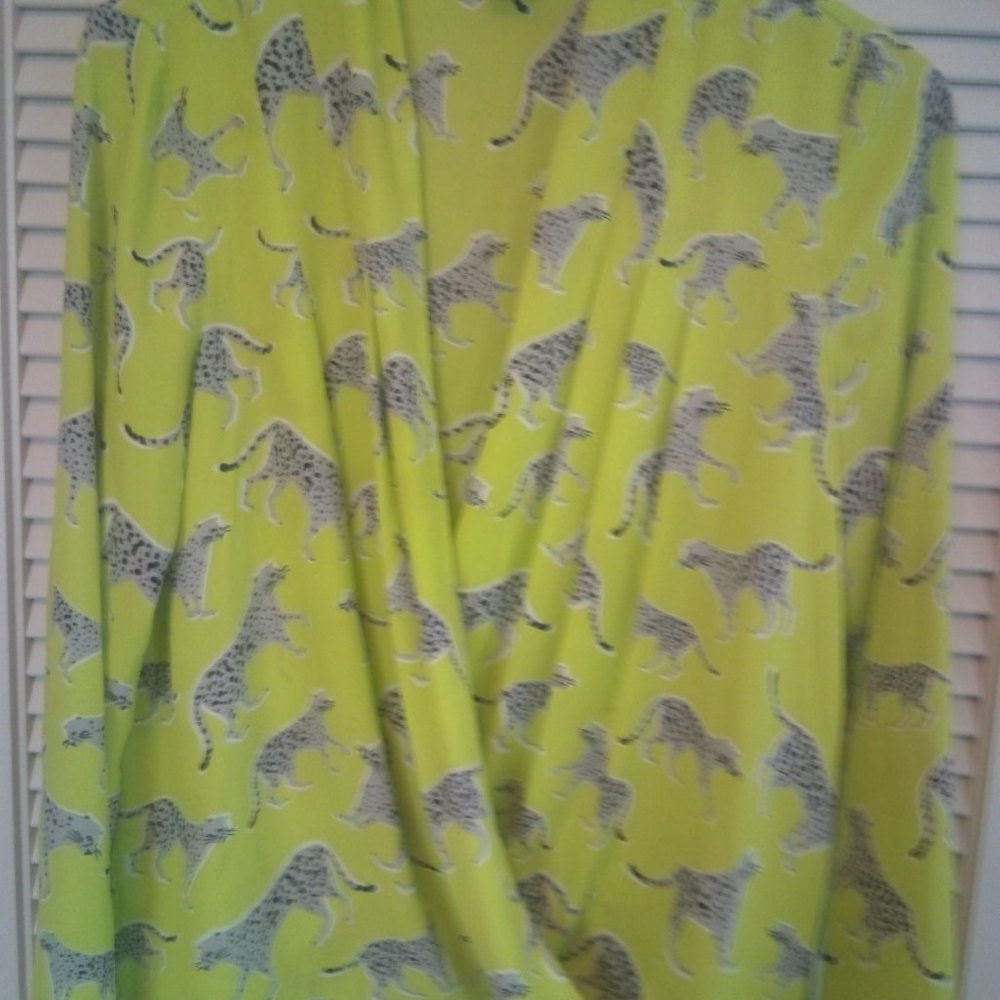 Ann Taylor Green Leopard Tunic Top M